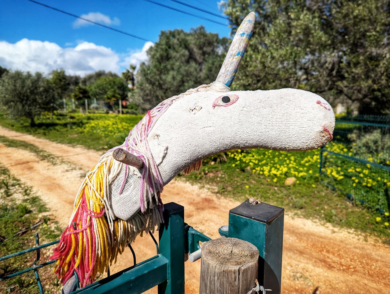 Portugal: Vom Fischerweg zur Via Algarviana