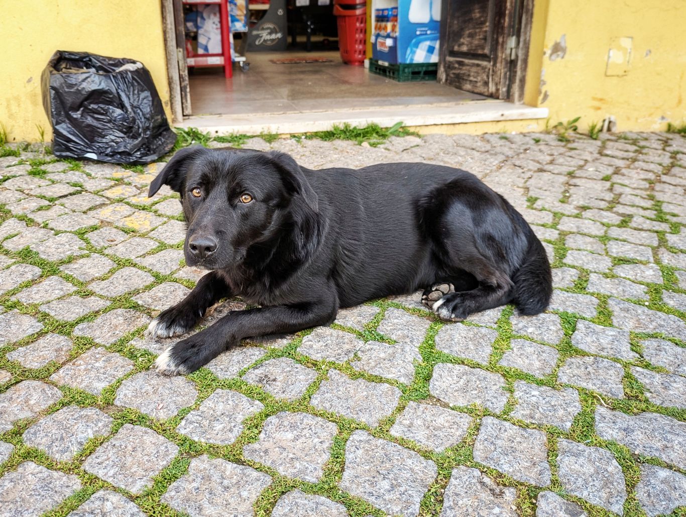 Portugal: Vom Fischerweg zur Via Algarviana