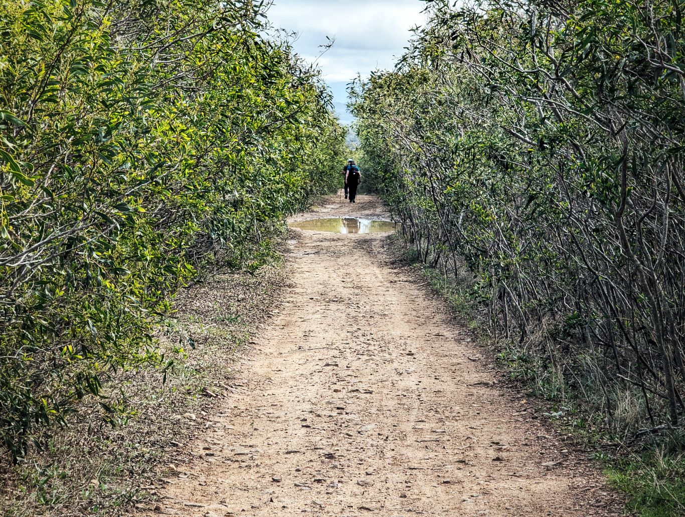 Fischerweg: 4. Von Almograve nach Zambujeira do Mar