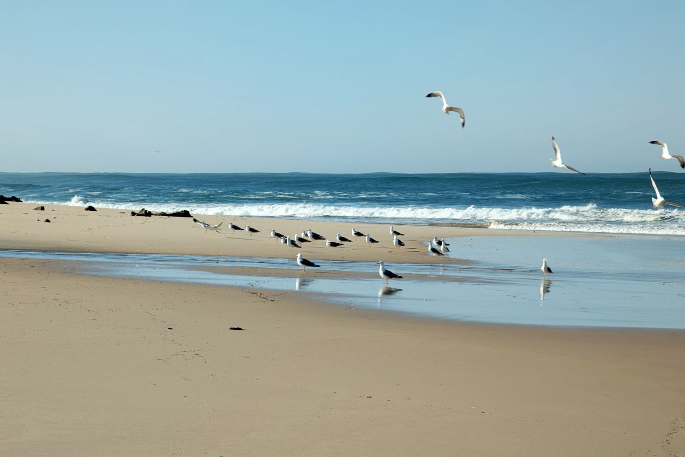 Fischerweg: 2. Von Porto Covo nach Vilanova de Milfontes