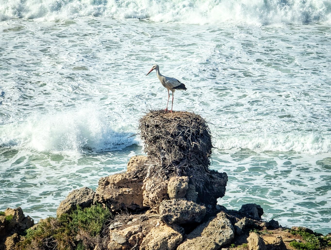 Fischerweg: 2. Von Porto Covo nach Vilanova de Milfontes