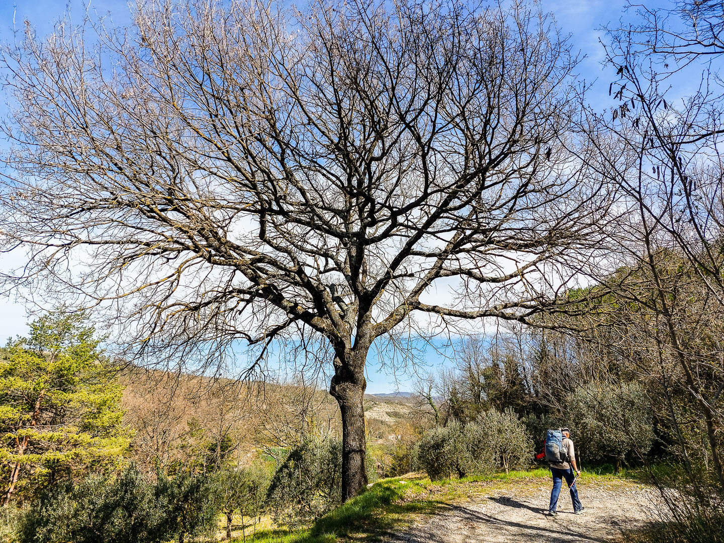 Franziskusweg: 10. Von Citta di Castello nach Pietralunga