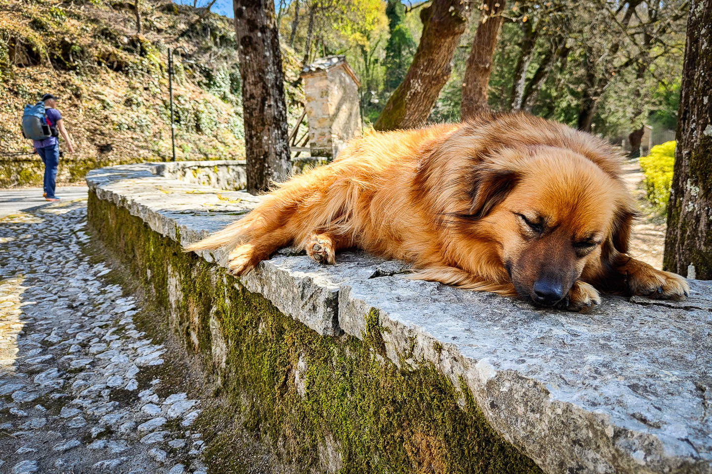 Franziskusweg: 21. Von Poggio Bustone nach Rieti