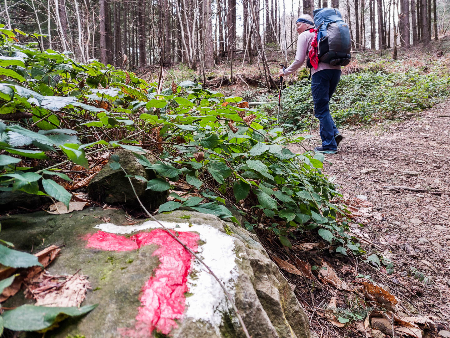 Franziskusweg: 2. Von Pontassieve nach Consuma