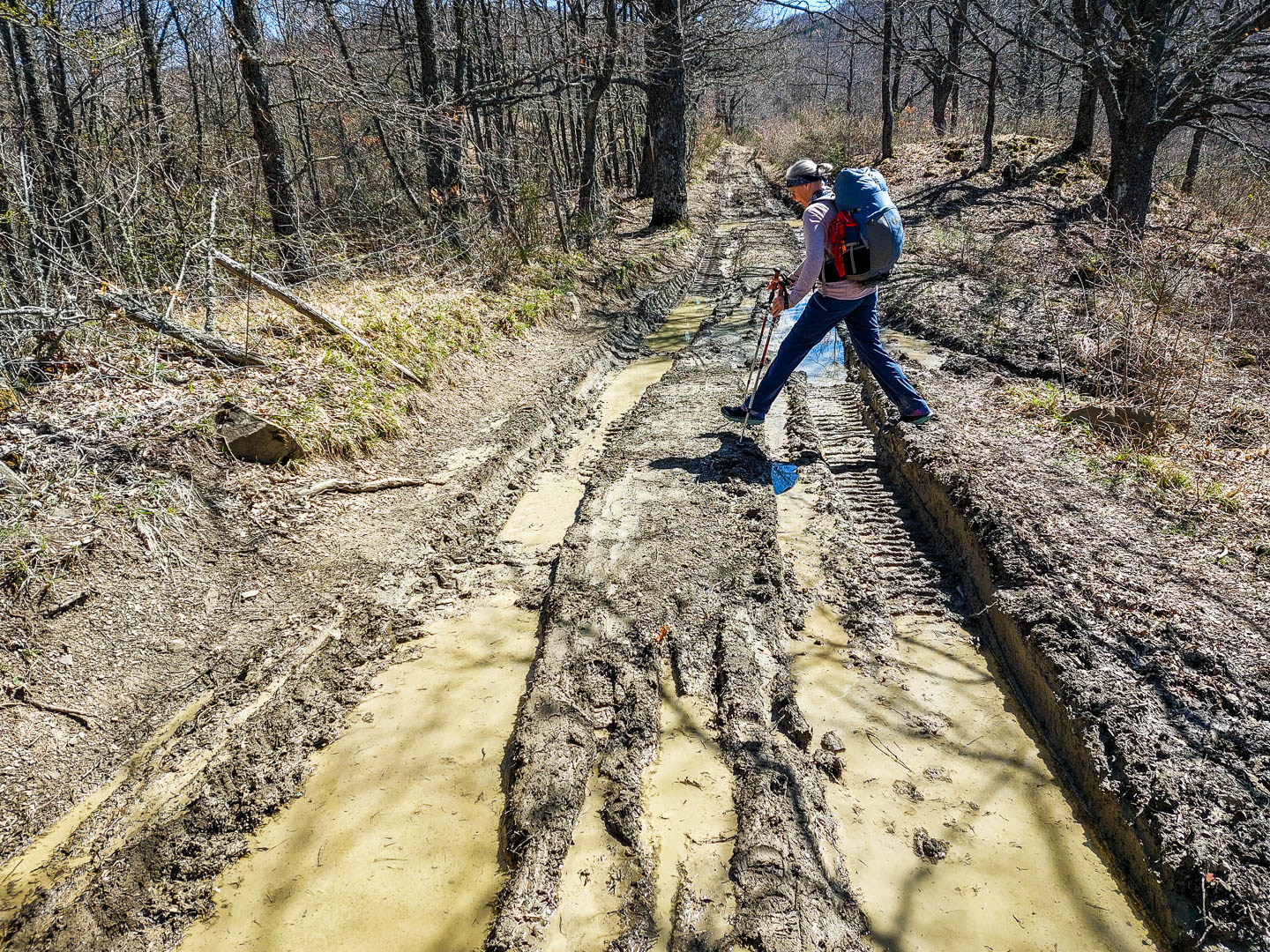 Franziskusweg: 6. Von Santicchio nach La Verna