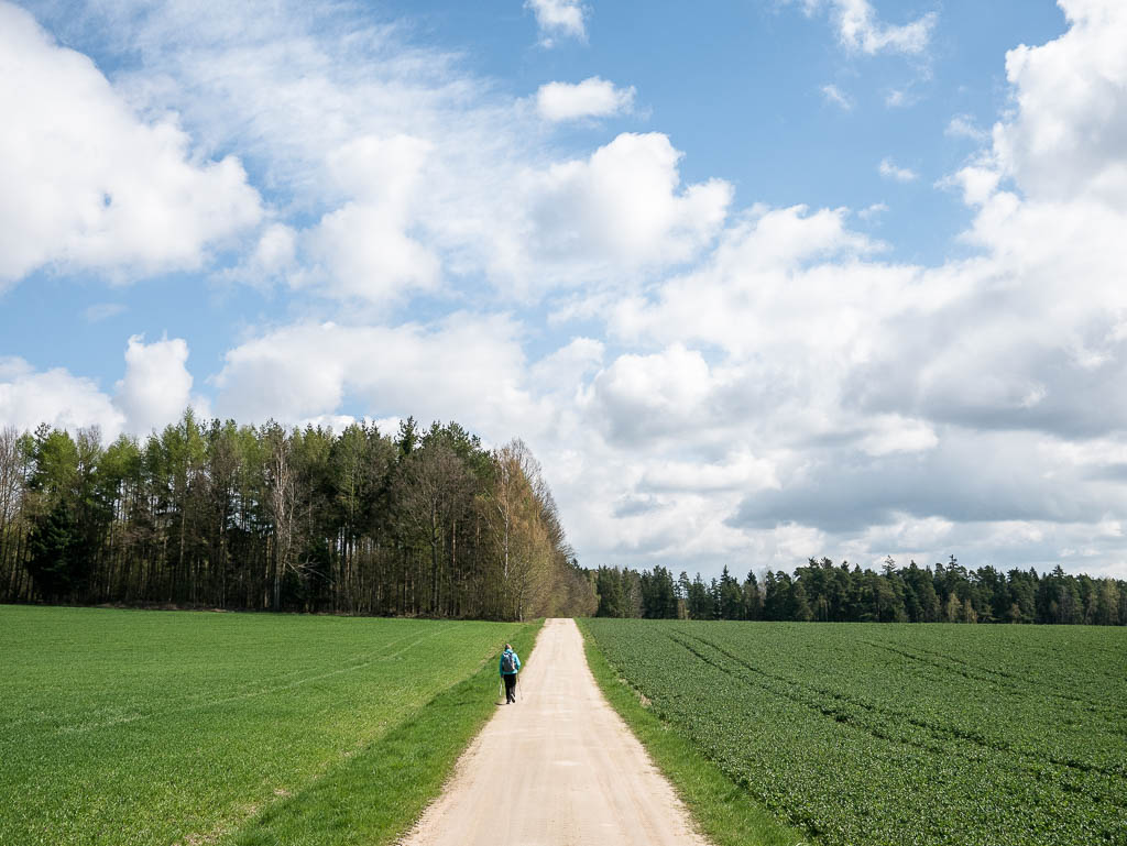 Goldsteig: Von Marktredwitz nach Neunburg v. Wald