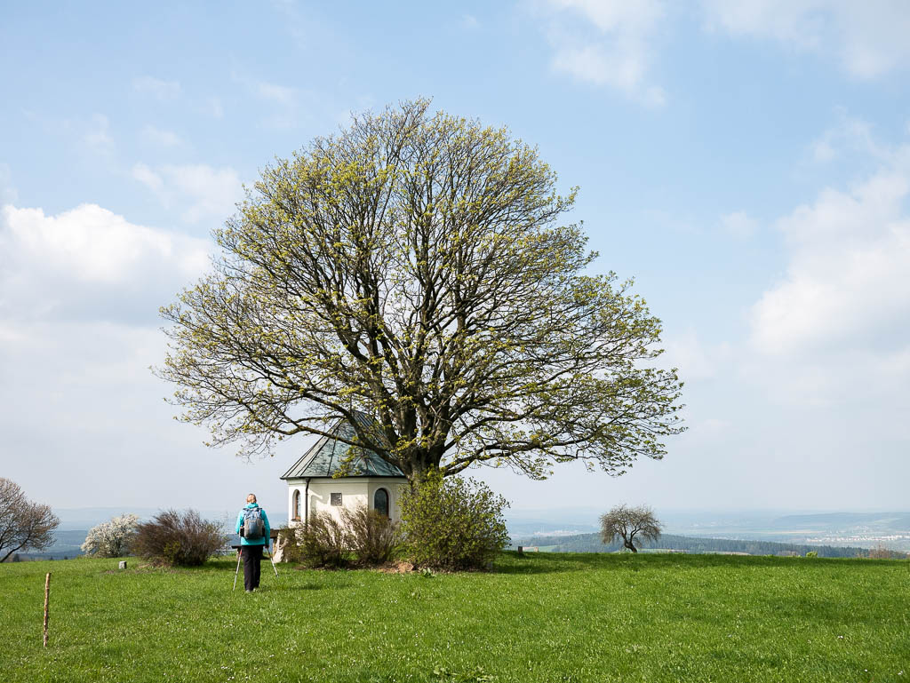 Goldsteig: Von Marktredwitz nach Neunburg v. Wald