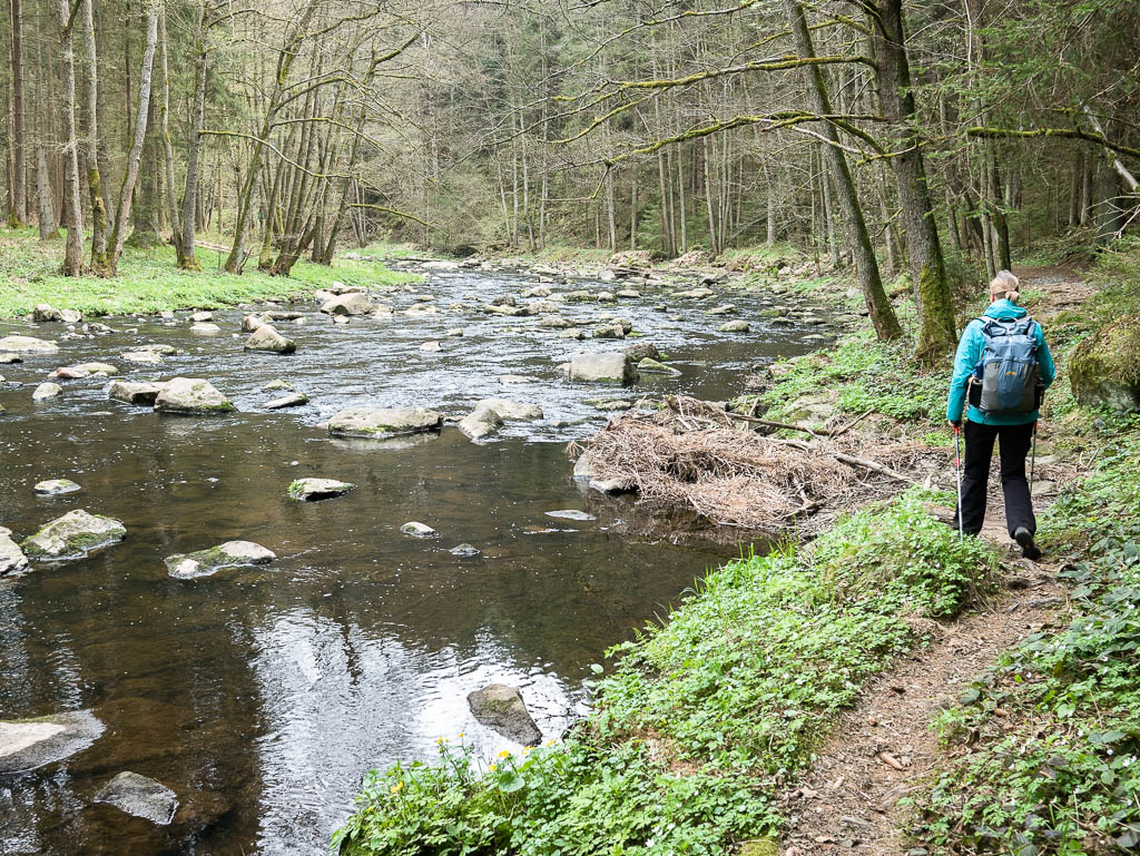 Goldsteig: Von Marktredwitz nach Neunburg v. Wald