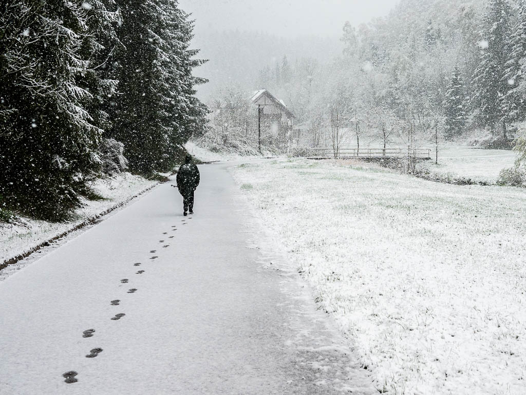 Goldsteig: Von Marktredwitz nach Neunburg v. Wald