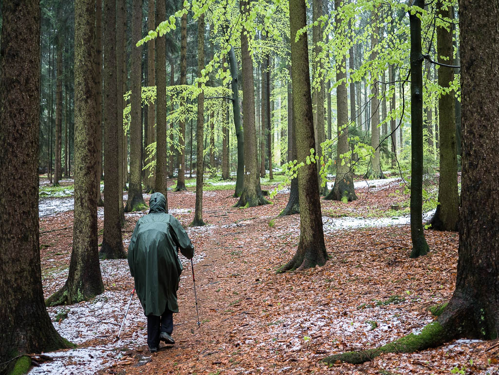 Goldsteig: Von Marktredwitz nach Neunburg v. Wald