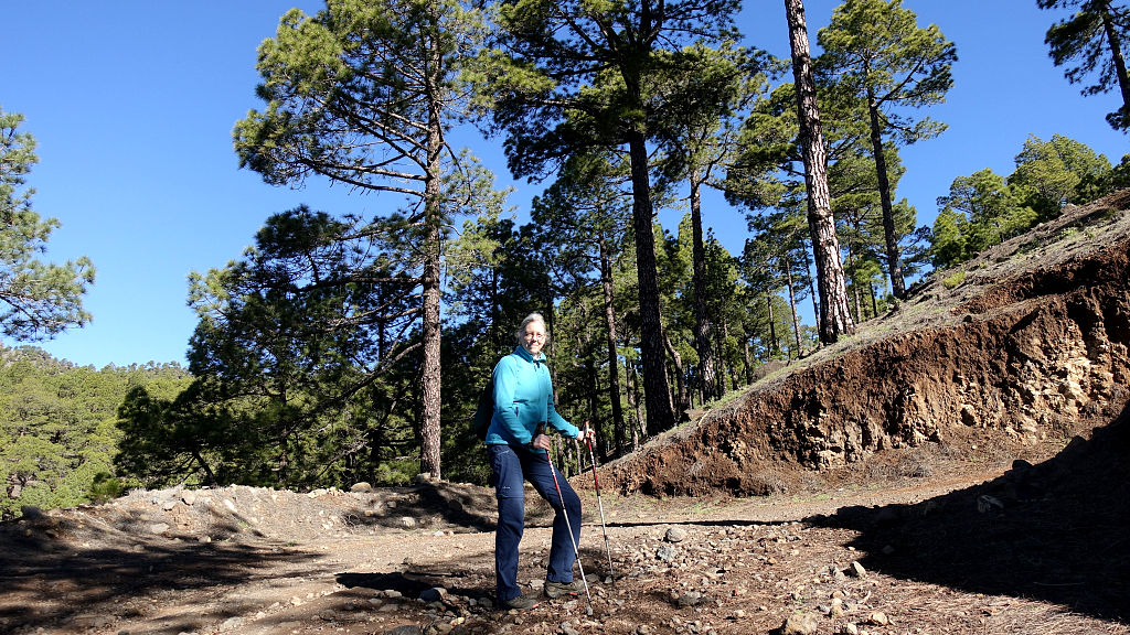 La Palma: 3. Auf den Pico Bejenado