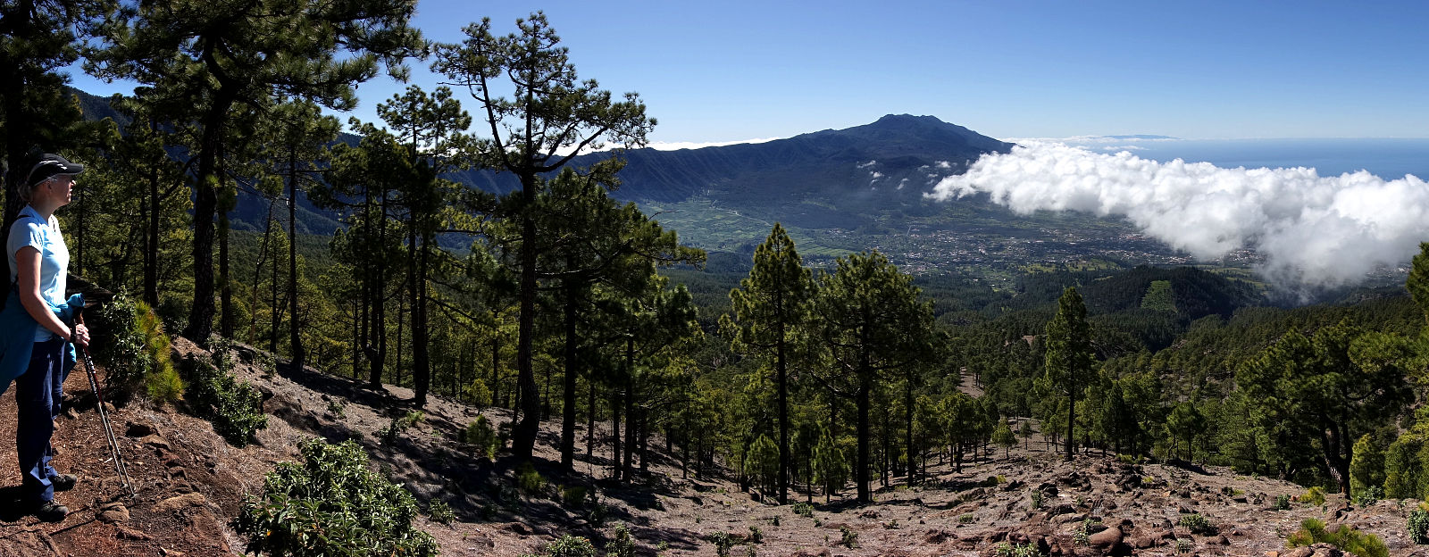 La Palma: 3. Auf den Pico Bejenado