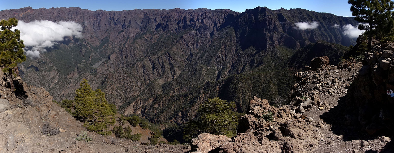 La Palma: 3. Auf den Pico Bejenado