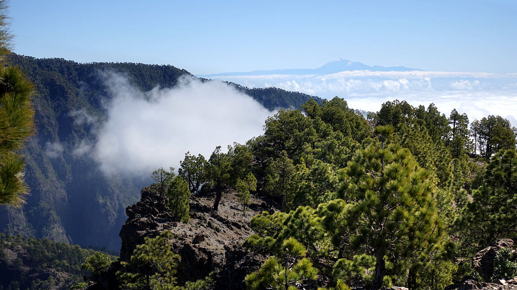 La Palma: 3. Auf den Pico Bejenado