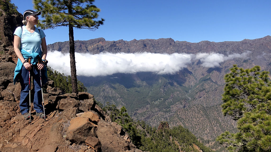 La Palma: 3. Auf den Pico Bejenado