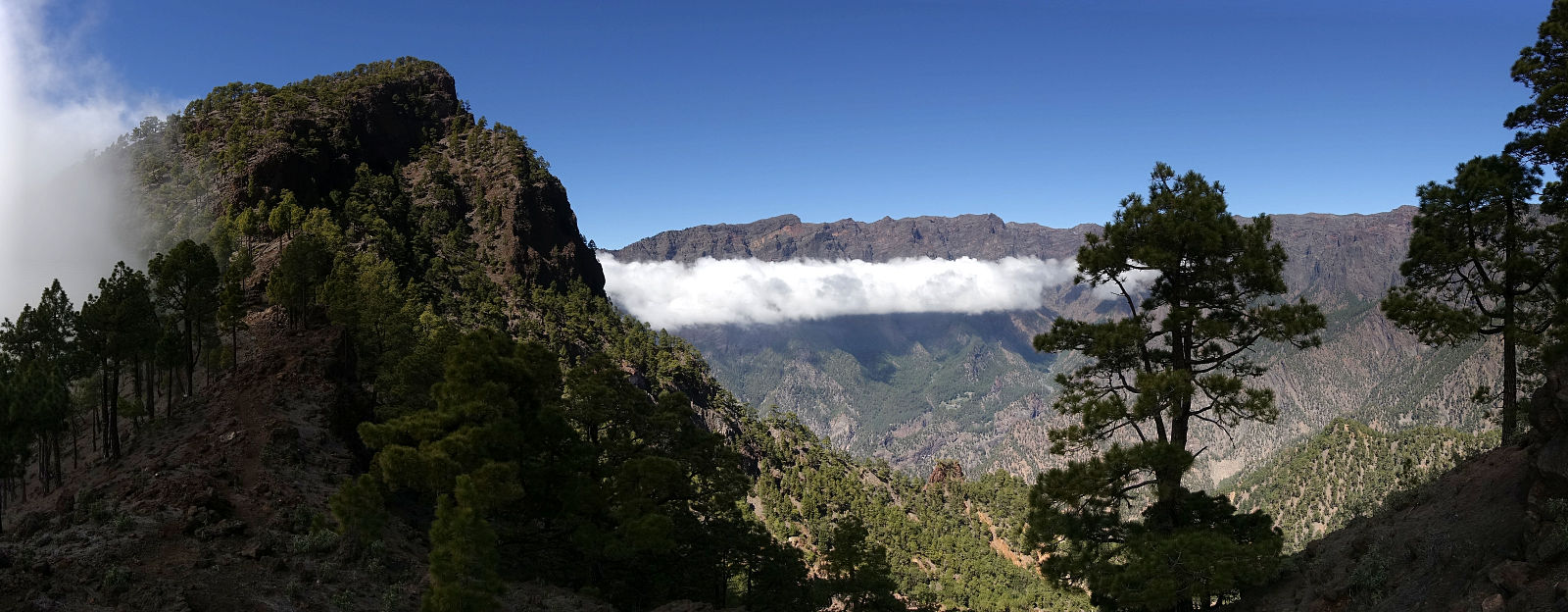 La Palma: 3. Auf den Pico Bejenado