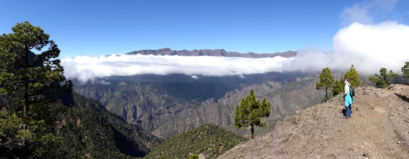 La Palma: 3. Auf den Pico Bejenado