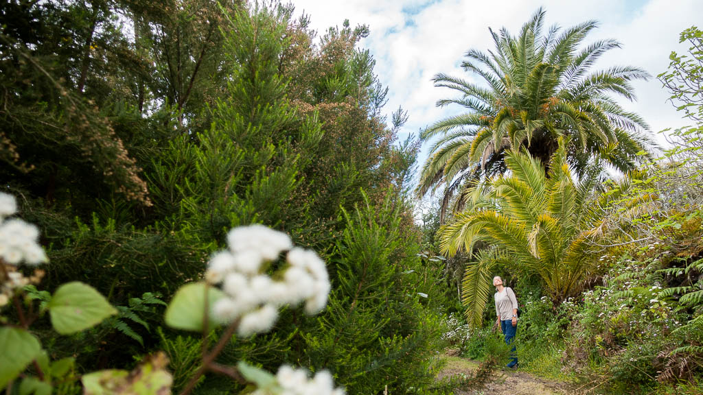 La Palma: 39. Die letzte Wanderung auf La Palma