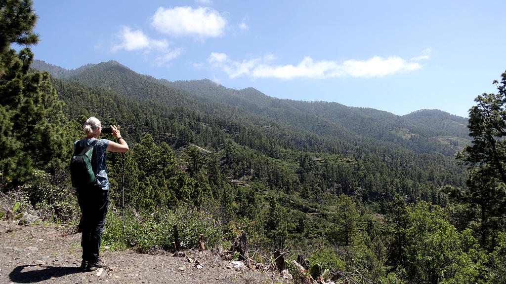 La Palma: 28. Ein Stück von La Traviesa und eine Abkürzung