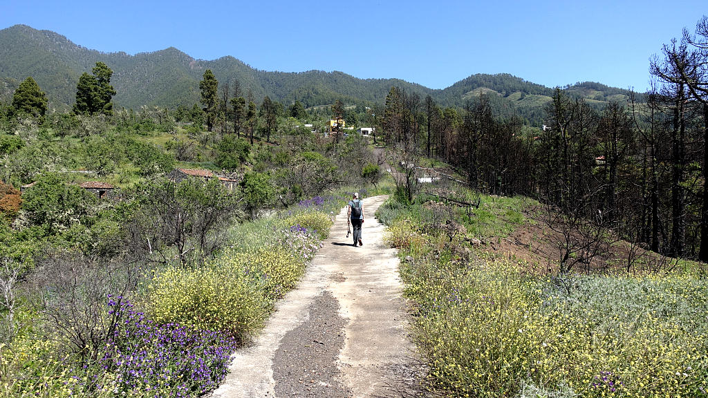 La Palma: 28. Ein Stück von La Traviesa und eine Abkürzung