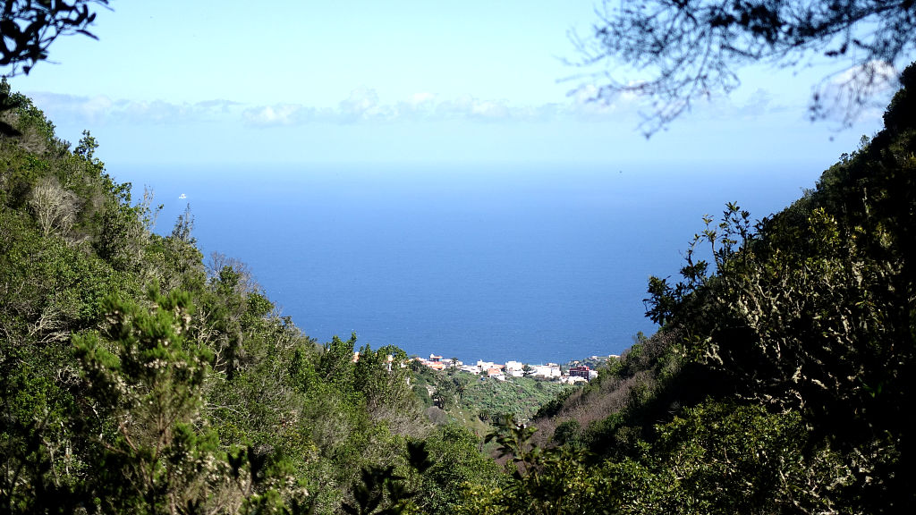 La Palma: 4. Fuentes de las Brenas