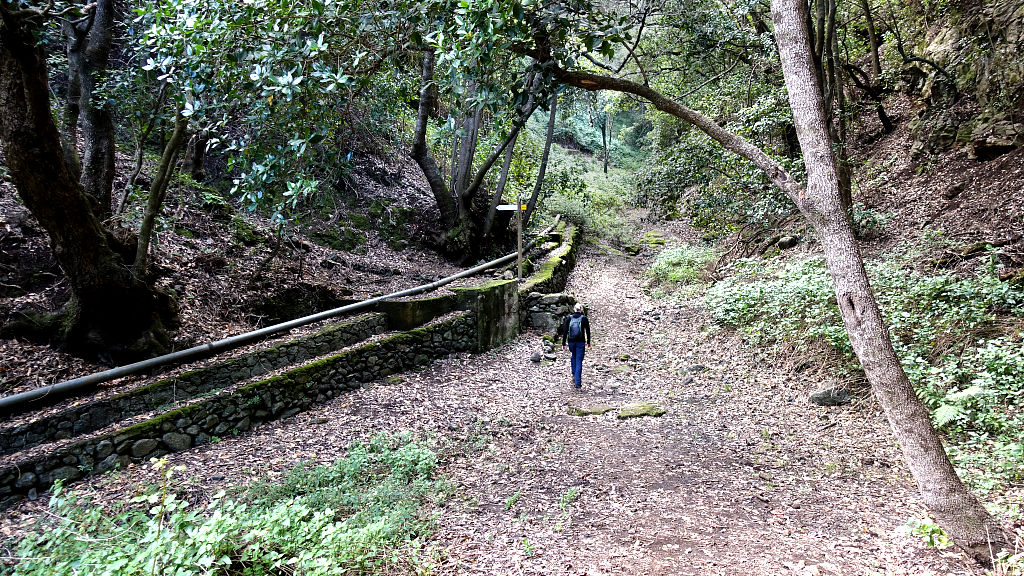 La Palma: 4. Fuentes de las Brenas