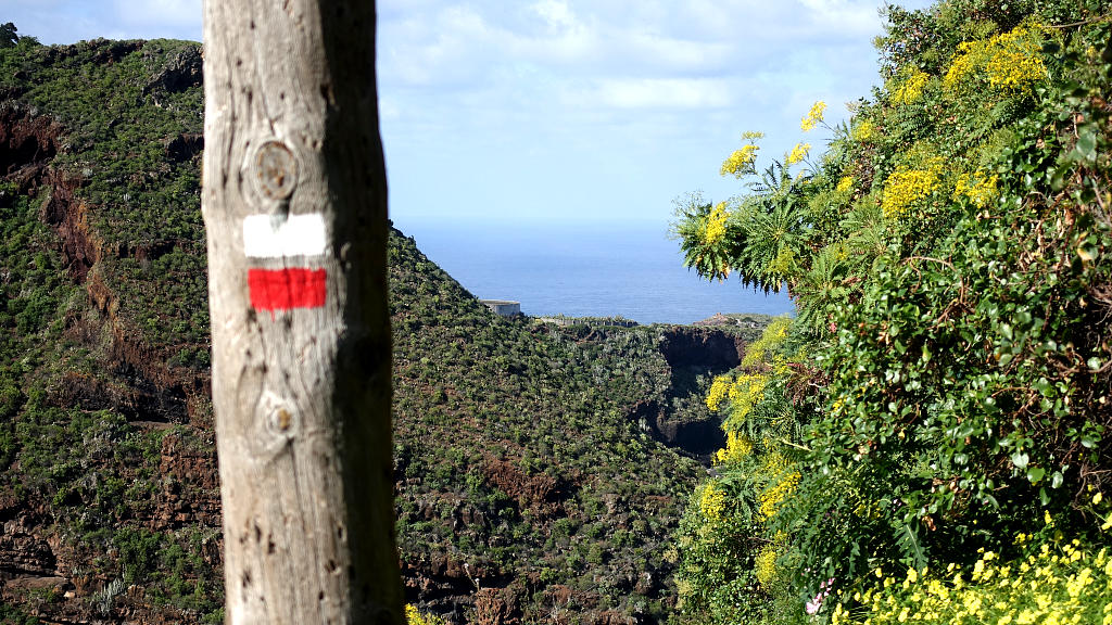 La Palma: 19. GR130 von Barlovento nach Los Sauces