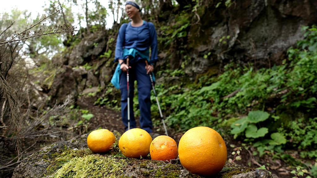 La Palma: 14. GR130 von El Tablado nach Santo Domingo