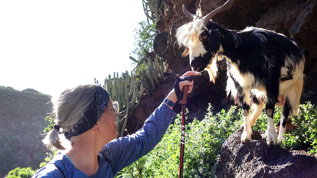 La Palma: 14. GR130 von El Tablado nach Santo Domingo