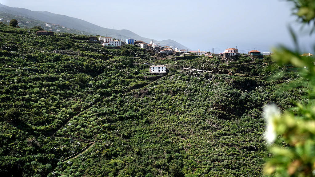 La Palma: 15. GR130 von Franceses nach Barlovento