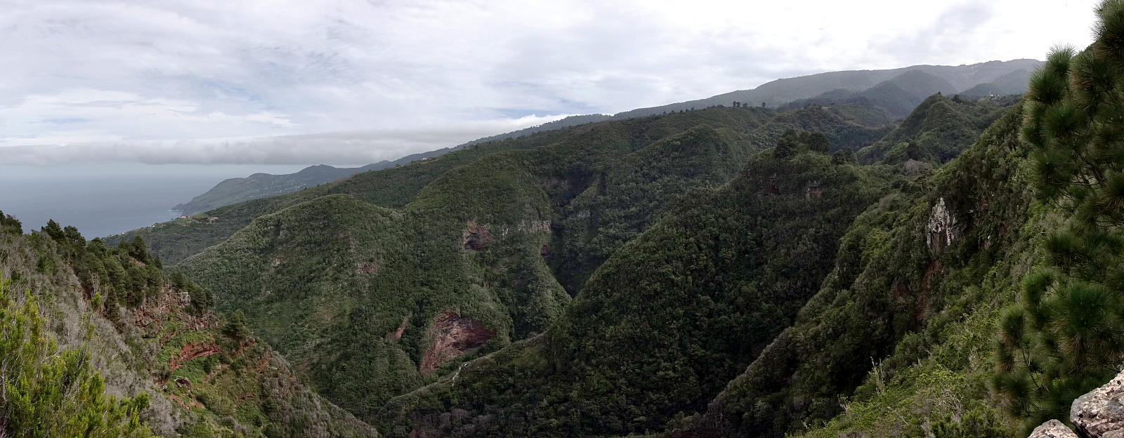 La Palma: 16. GR130 von Roque Faro über El Tablado nach Franceses