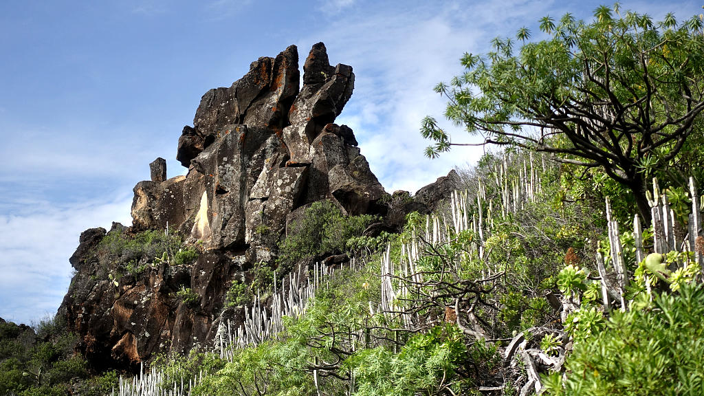 La Palma: 16. GR130 von Roque Faro über El Tablado nach Franceses