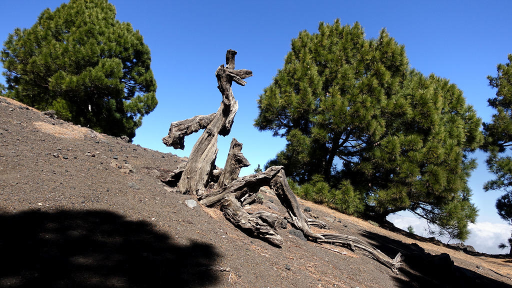 La Palma: 9. GR131 auf der Vulkanroute