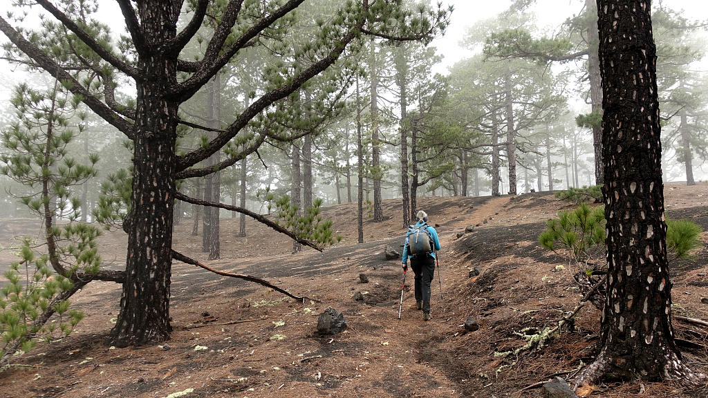 La Palma: 9. GR131 auf der Vulkanroute