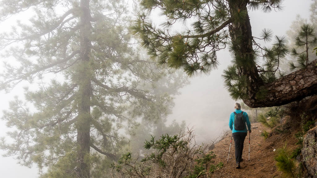 La Palma: 38. GR131 vom Pico de la Nieve zum Refugio Punta de los Roques