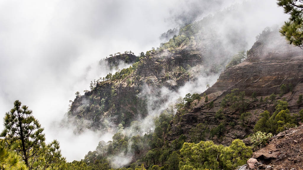 La Palma: 38. GR131 vom Pico de la Nieve zum Refugio Punta de los Roques