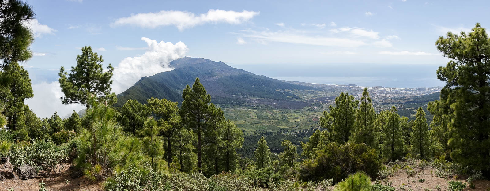 La Palma: 35. GR131 vom Reventon-Pass Richtung Punta de los Roques