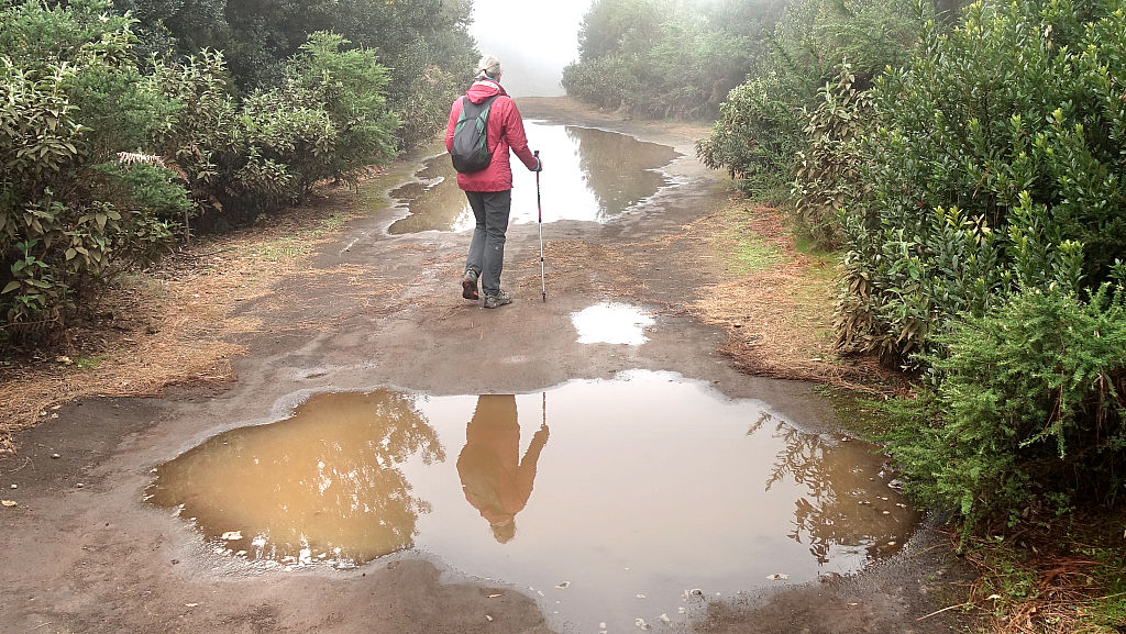 La Palma: 6. GR131 von El Pilar zum Reventon-Pass