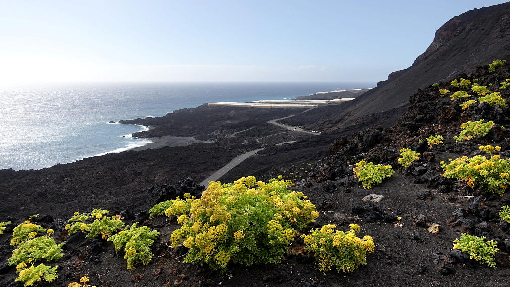 La Palma: 10. GR131 zur Südspitze von La Palma