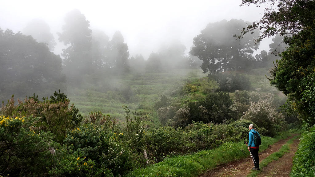 La Palma: 17.  La Traviesa von Roque Faro nach Barlovento