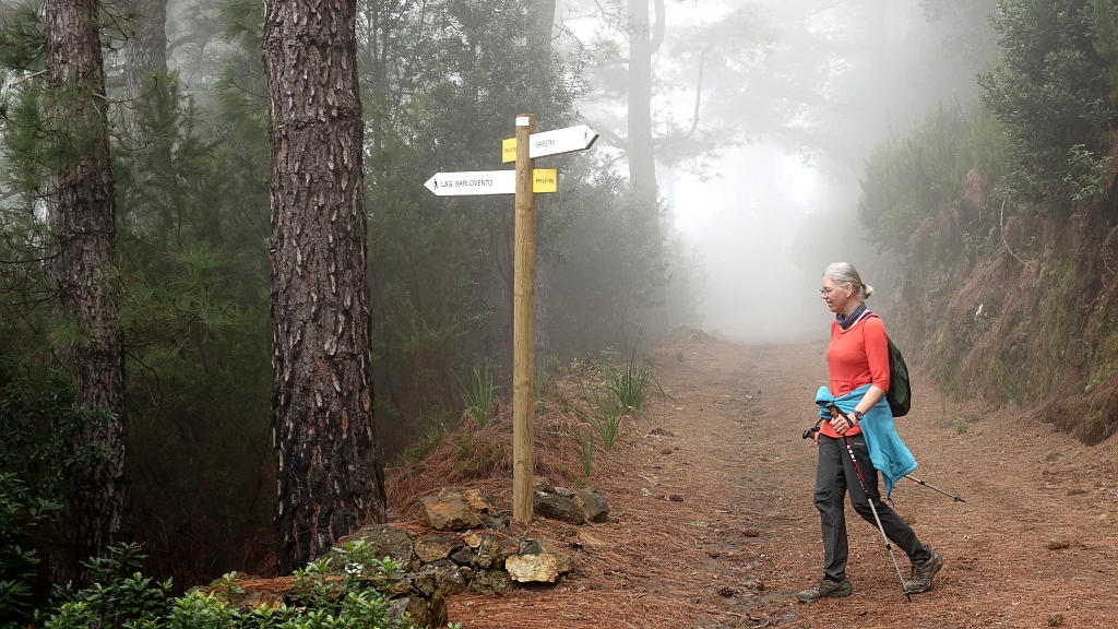 La Palma: 17.  La Traviesa von Roque Faro nach Barlovento