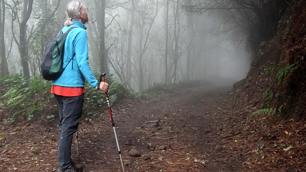 La Palma: 17.  La Traviesa von Roque Faro nach Barlovento