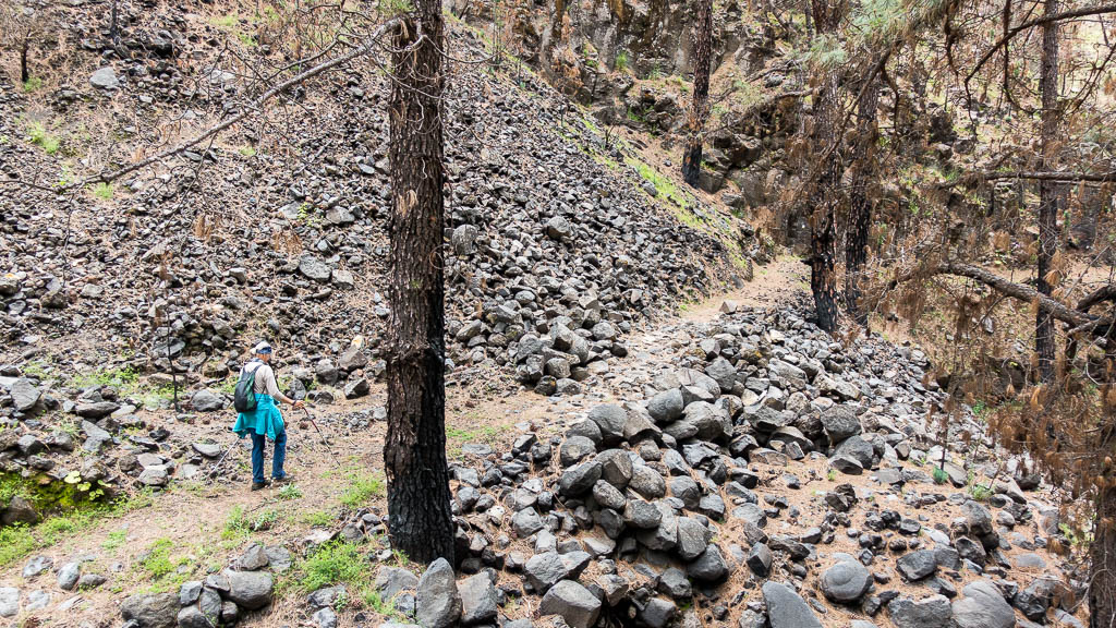 La Palma: 33. La Traviesa von Roque Faro nach Las Tricias