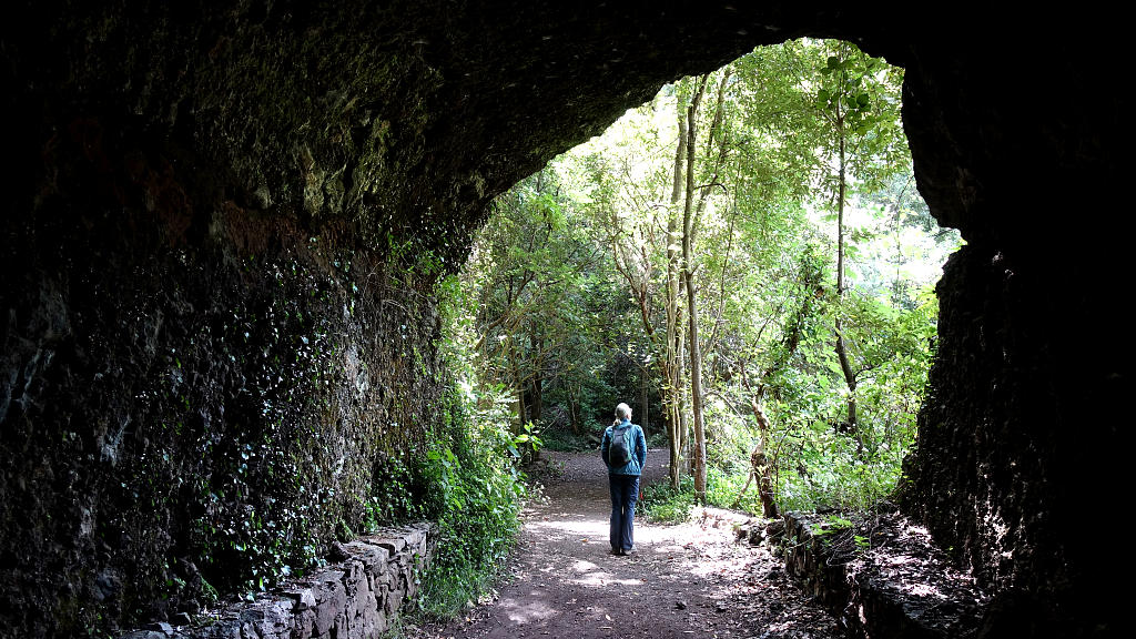 La Palma: 21. Los Tilos und Espigon Atravesado