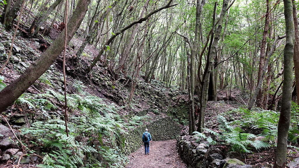 La Palma: 21. Los Tilos und Espigon Atravesado