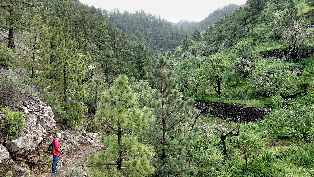 La Palma: 26. Rundweg auf Traviesa, GR131 und GR130