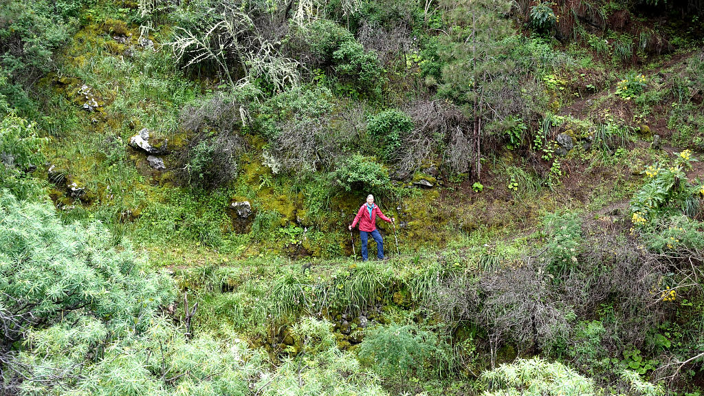 La Palma: 26. Rundweg auf Traviesa, GR131 und GR130