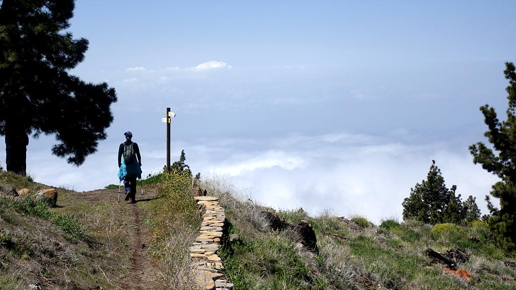 La Palma: 27. Vom Refugio Tinizara auf die Traviesa