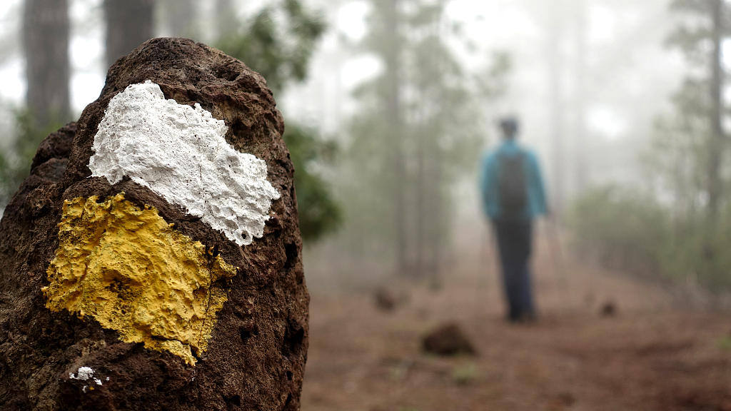 La Palma: 27. Vom Refugio Tinizara auf die Traviesa