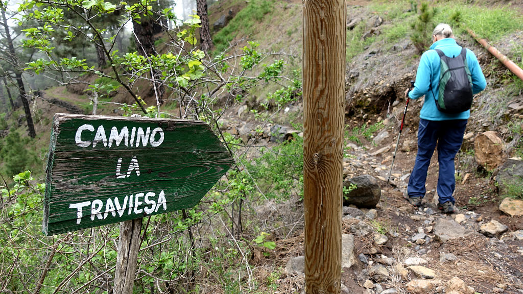 La Palma: 27. Vom Refugio Tinizara auf die Traviesa